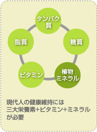 page1_pic1.jpg