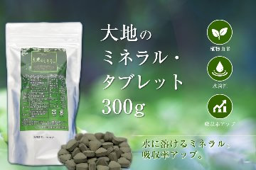 大地のミネラル・タブレット